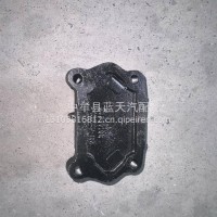 发动机前橡胶悬置（X13/X12_700N/mm）/6000025007
