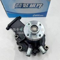 1008915601潍柴锐动力WP4.1发动机水泵总成水泵分总成/1008915601