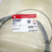 发动机机油尺/216484