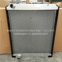 重汽豪沃HOWO轻卡散热器水箱/LG9704530021