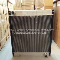 重汽豪沃HOWO轻卡汽车散热器水箱/LG9704530050