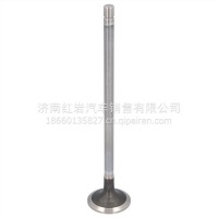菲亚特发动机排气门C11/5801561321