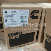 优势供应原装正品康明斯发动机活塞总成/6451191L