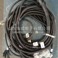 202V27120-6517重汽曼MC07国六后处理线束（电加热）/202V27120-6517
