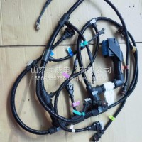 13067855潍柴WP6发动机线束/13067855