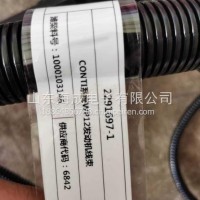 1000103146潍柴WP12自主发动机线束/1000103146