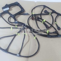 1000124514潍柴WP10自主发动机线束/1000124514
