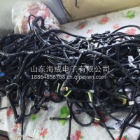 1000141517潍柴自主WP9发动机线束/1000141517