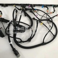 1000181051潍柴WP13发动机线束/1000181051