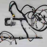 1001301956潍柴WP13发动机线束/1001301956