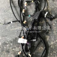 1001549782潍柴WP12发动机线束/1001549782
