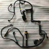 1001684012潍柴10H发动机线束总成/1001684012