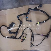 1001684012潍柴WP9发动机线束/1001684012