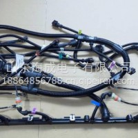 1001877045潍柴WP12发动机线束特京五1001877058 1001549782/1001877045