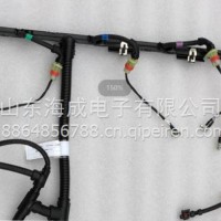 1006612012潍柴WP12发动机线束潍柴发动机线束潍柴喷油器线束/1006612012