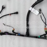 1006612016潍柴发动机线束潍柴WP12发动机线束/1006612016