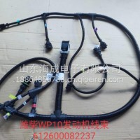 612600082237潍柴WP10发动机线束/612600082237