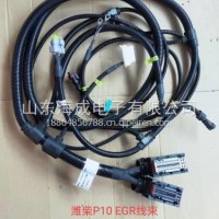 612600083216潍柴WP10自主系统EGR线束/612600083216