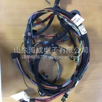 重汽汕德卡C7H左车门控线束712W25455-6066/712W25455-6066