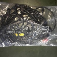 重汽曼MT07线束总成812W25436-9001/812W25424-6562