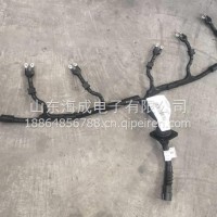 重汽曼MC11喷油器线束202V25413-6256/202V25413-6256