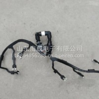 重汽曼MC11发动机喷油器线束 202V25413-6266/202V25413-6266