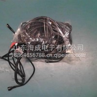 重汽豪沃天然气T12线束 VG1238090102/VG1238090102