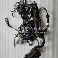 重汽豪沃轻卡悍将统帅左右车门线束电动LG9704770073/LG9704770073