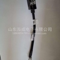 重汽豪沃轻卡悍将统帅起动机线束LG9704777501/LG9704777501