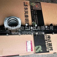 B6.2/D7.0发动机进气支管/6416990
