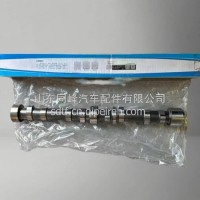 1002070510潍柴锐动力WP3N发动机凸轮轴总成/1002070510