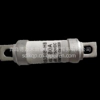RS308-HB-80A熔断器/RS308-HB-80A