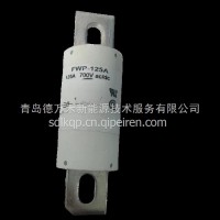 FWP-125A熔断器/FWP-125A
