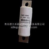 FWP-100C熔断器/FWP-100C