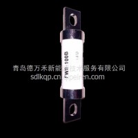FWP-100B熔断器/FWP-100B
