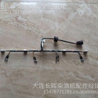 大柴道依茨维修配件AA11缸内线束总成/3724820AA11/A