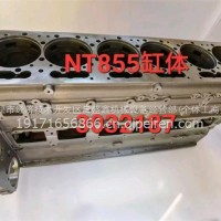 NT855缸体/3032187