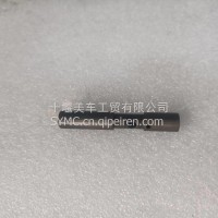 适用重庆康明斯NT855发动机配件调速器柱塞/3009385