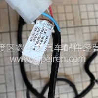 东风多利卡/东风凯普特/东风福瑞卡右车门线束/3724055-EN22021-B