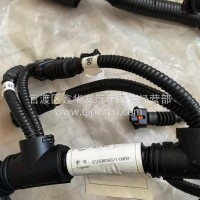 东风多利卡/东风凯普特/东风福瑞卡发动机线束/3724080BB21-0000