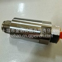 共轨管限压阀/5594244
