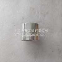 适用于重庆康明斯K19/K38发动机配件摇臂衬套/207344