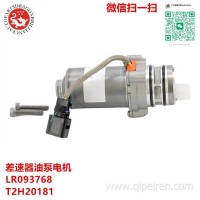 LR093768 T2H20181 02T2H20181 适用于路虎捷豹差速器油泵电机/LR093768