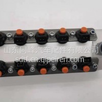 1003650716潍柴国六喷射阀总成/1003650716