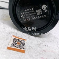 DZ9100130008陕汽德龙动力转向油泵/DZ9100130008Q