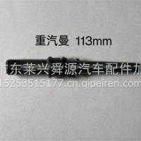 共轨喷油器连接杆/113