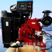 康明斯4BT3.9-P95发动机总成/4BT3.9-P95