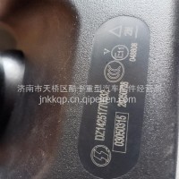 陕汽德龙 补盲后视镜总成/DZ14251770032