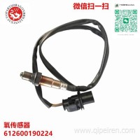 612600190224 0258017025 1001703434氧传感器跨境配件/612600190224