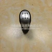 变速器换挡手柄及挡位标牌总成(10挡/浙江亿日)/WG9900241001